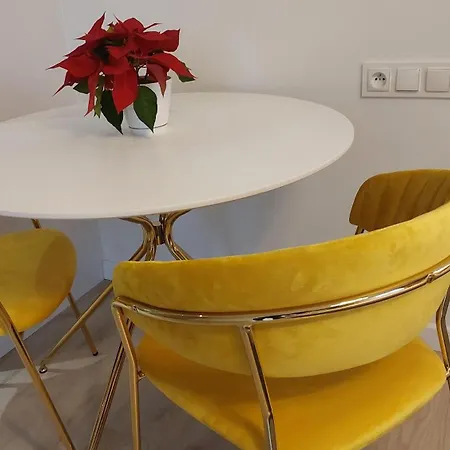 Modern Space Apartament